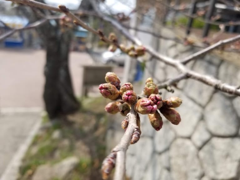 日和山公園