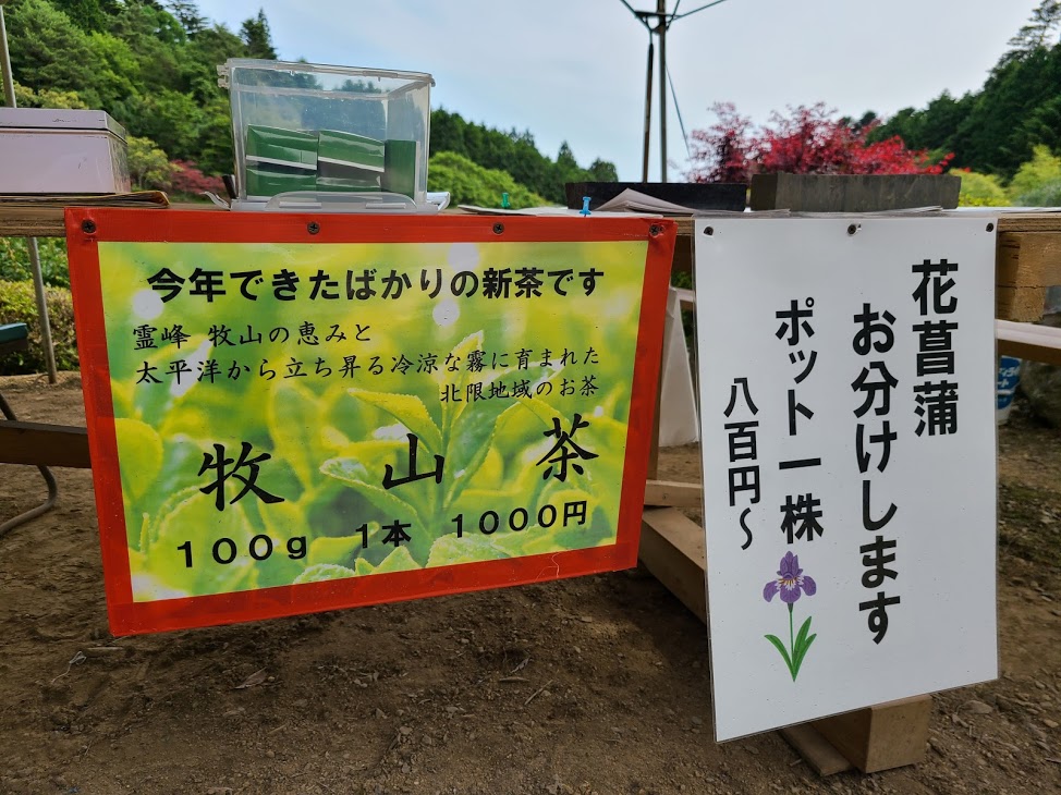 石巻市 今年が最後の公開 牧山のてっぺん 牧山零羊崎神社 の神苑の花菖蒲が見頃を迎えています 号外net 石巻市 東松島市