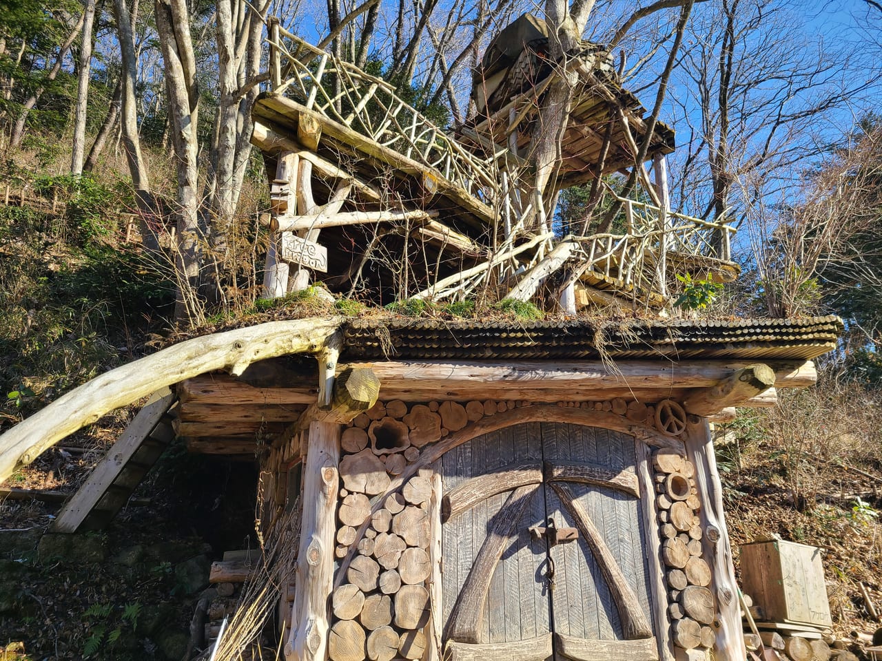 東松島市 運転していたら見つけた 龍のような形のツリーハウス ツリードラゴン 号外net 石巻市 東松島市