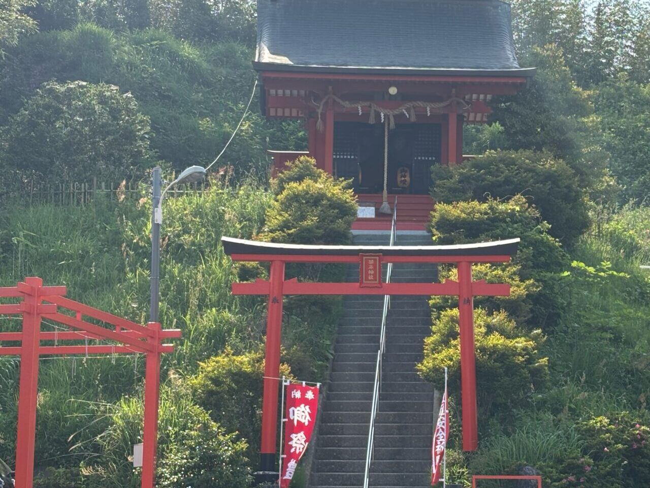 琴平神社　正面