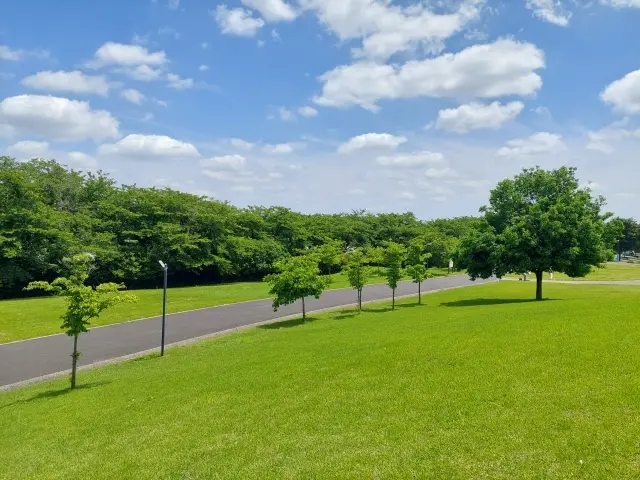 公園