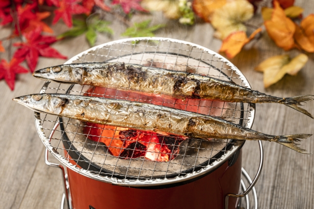 秋刀魚　イメージ