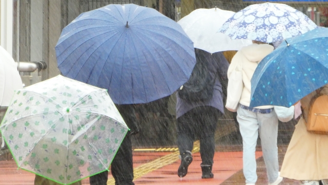 雨降り