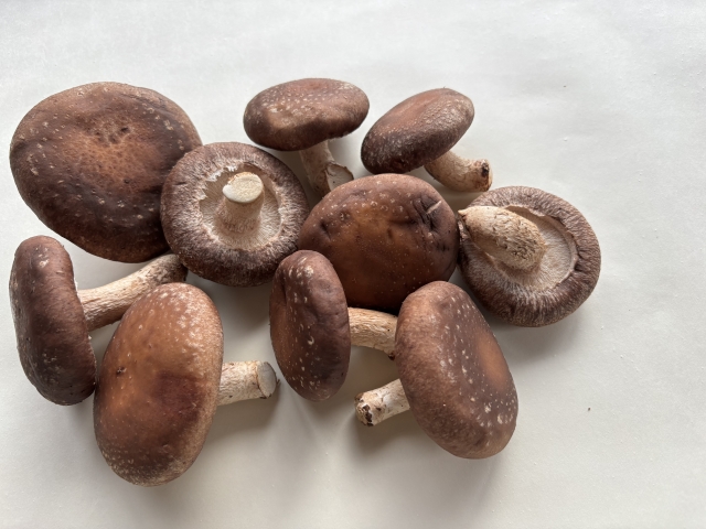 しいたけ