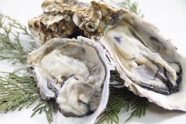 キボッチャ　牡蠣まつり