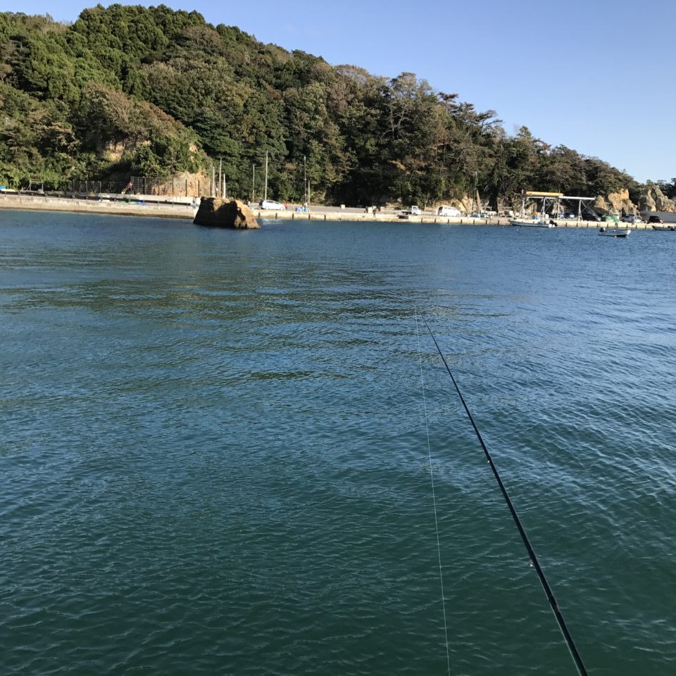宮戸地区の海